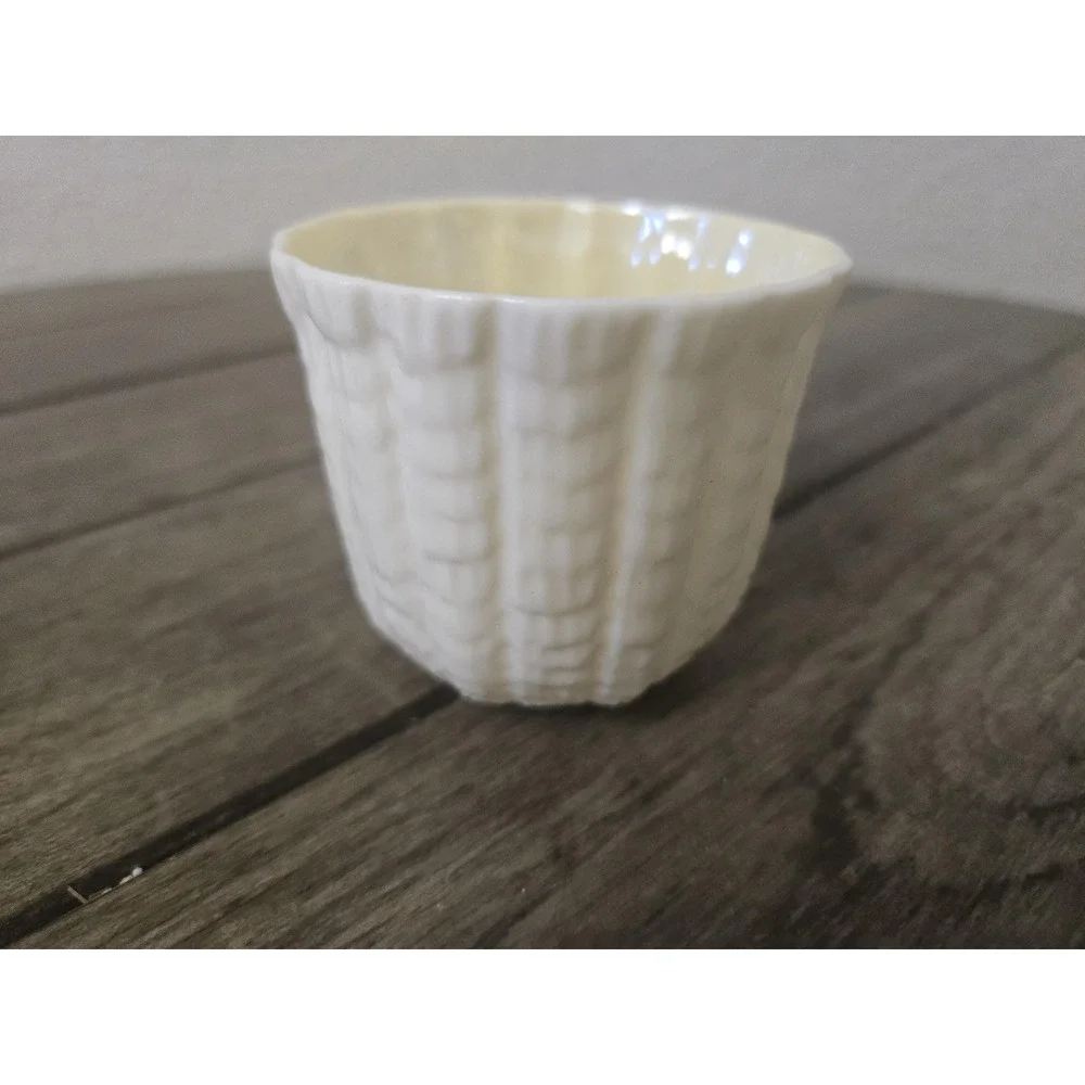 Vintage Belleek Ireland Limpet Pattern Tea Cup & Saucer Set 6th green mark